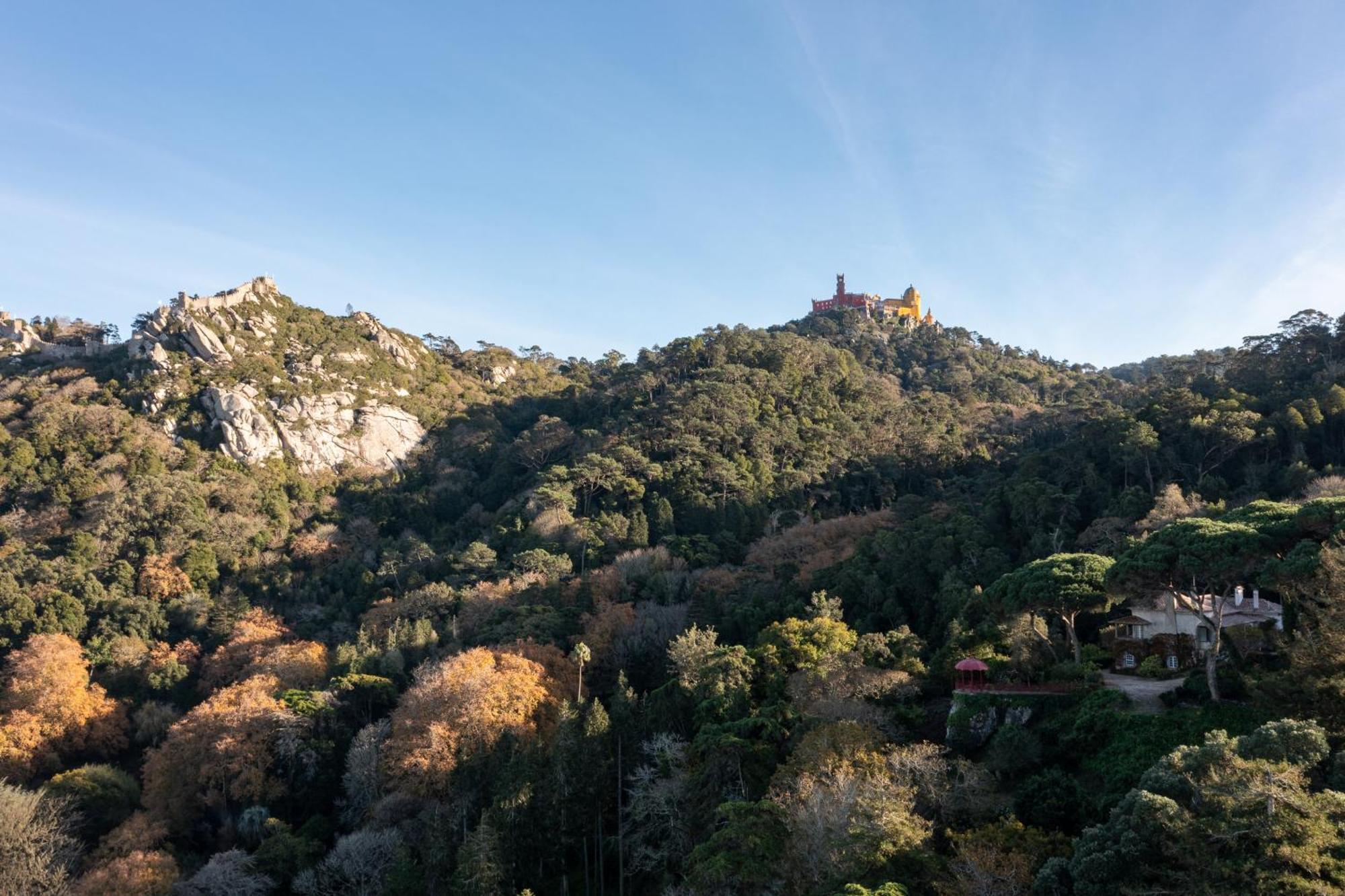 Chalet Chapeu De Sol - Sintra Eksteriør billede