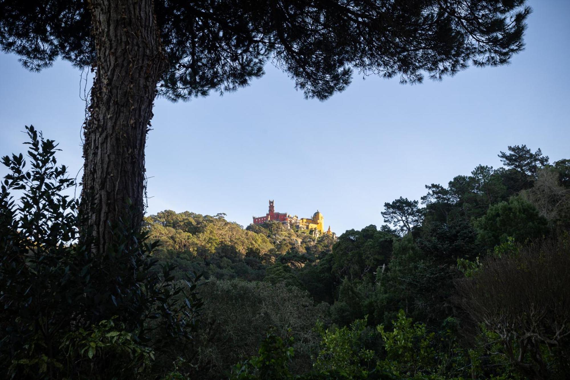 Chalet Chapeu De Sol - Sintra Eksteriør billede