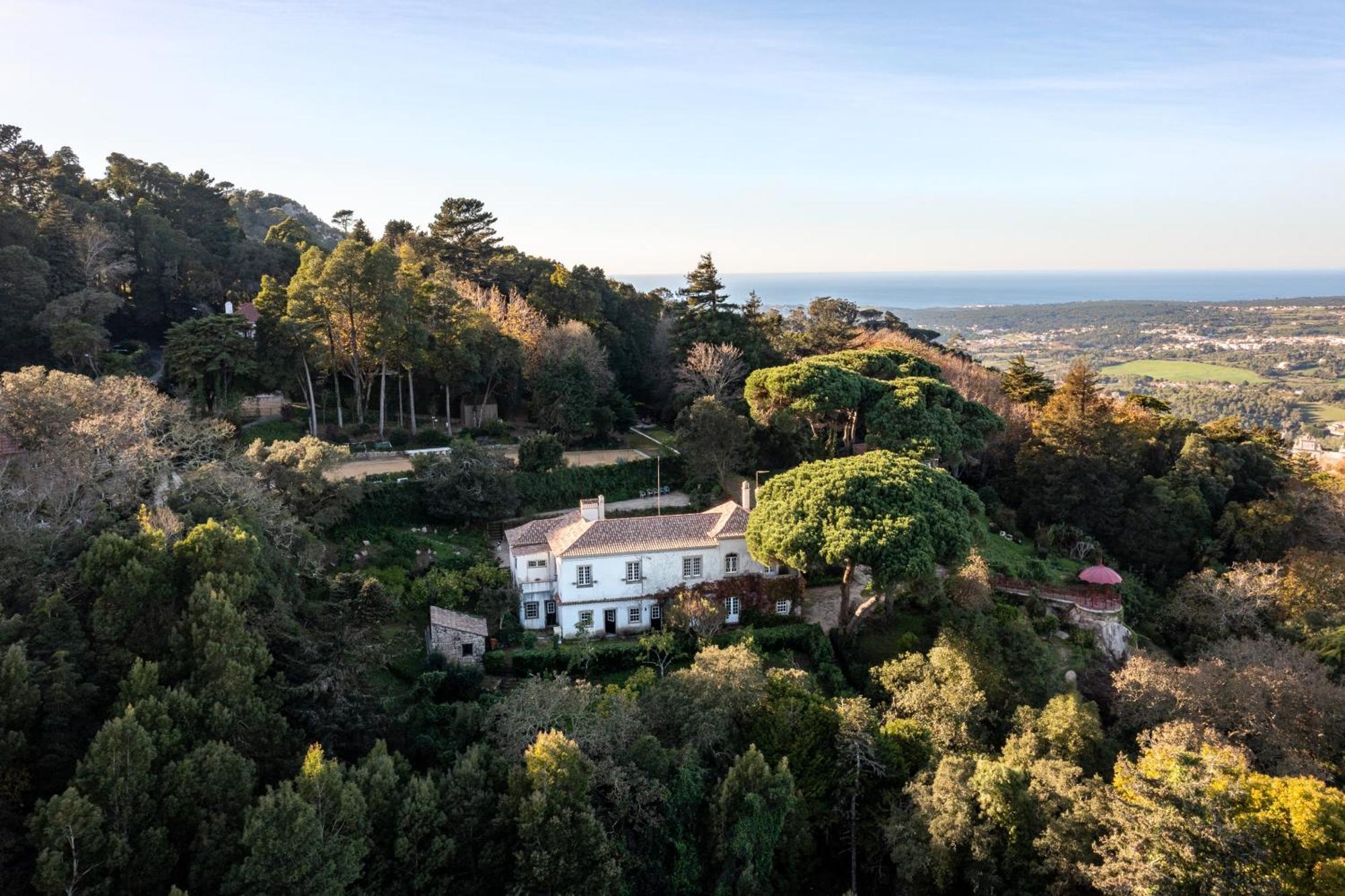 Chalet Chapeu De Sol - Sintra Eksteriør billede